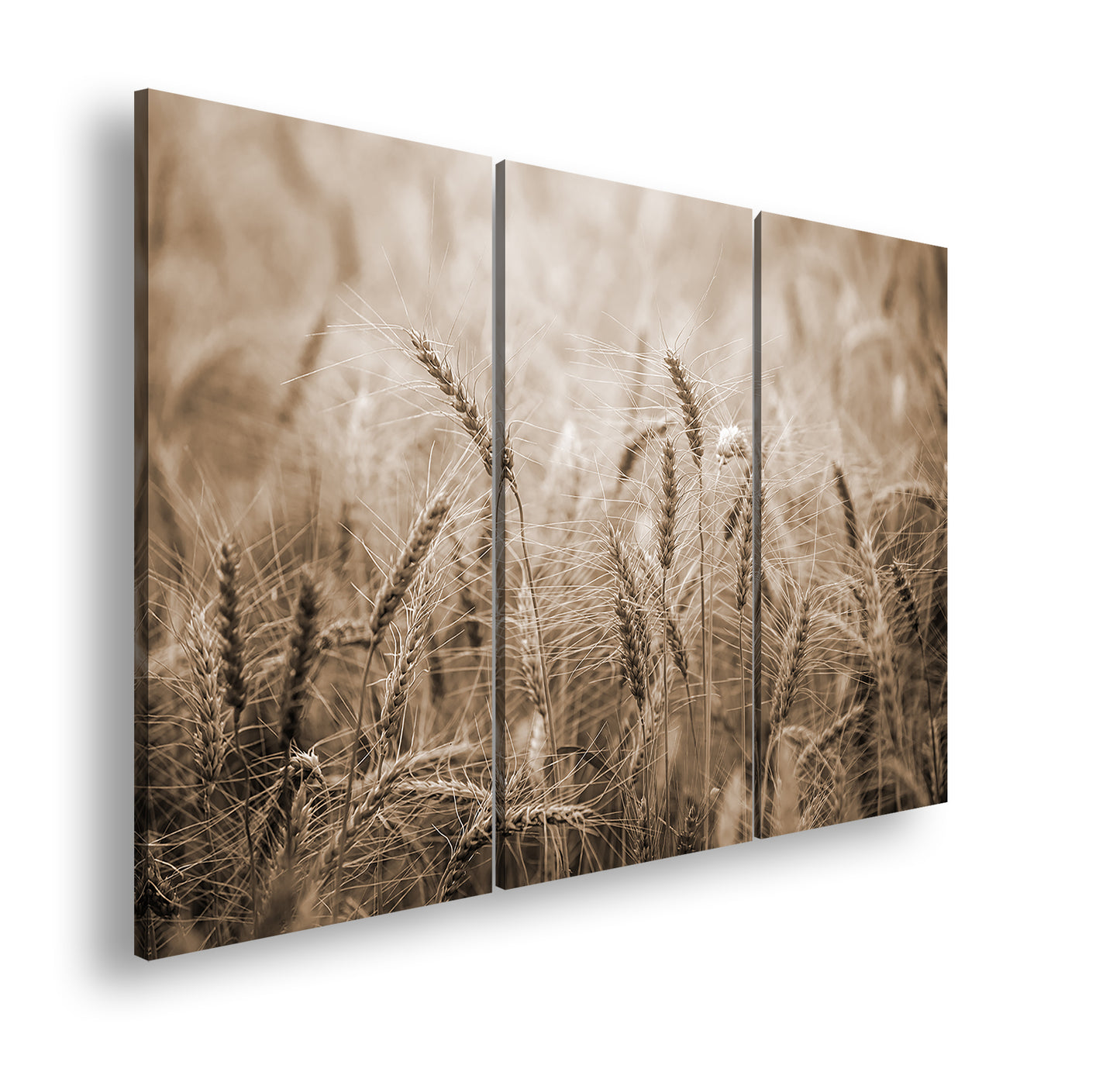 Hauptbild Sepia 3 Teilig