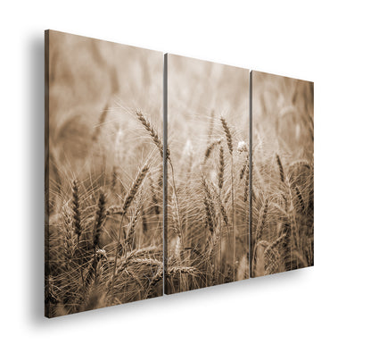 Hauptbild Sepia 3 Teilig