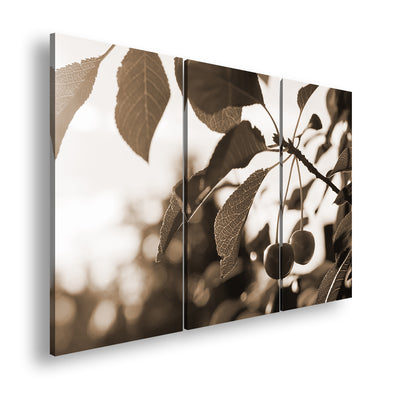 Hauptbild Sepia 3 Teilig