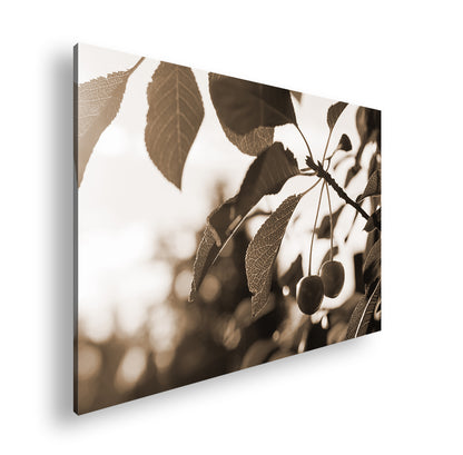 Hauptbild Sepia Standart