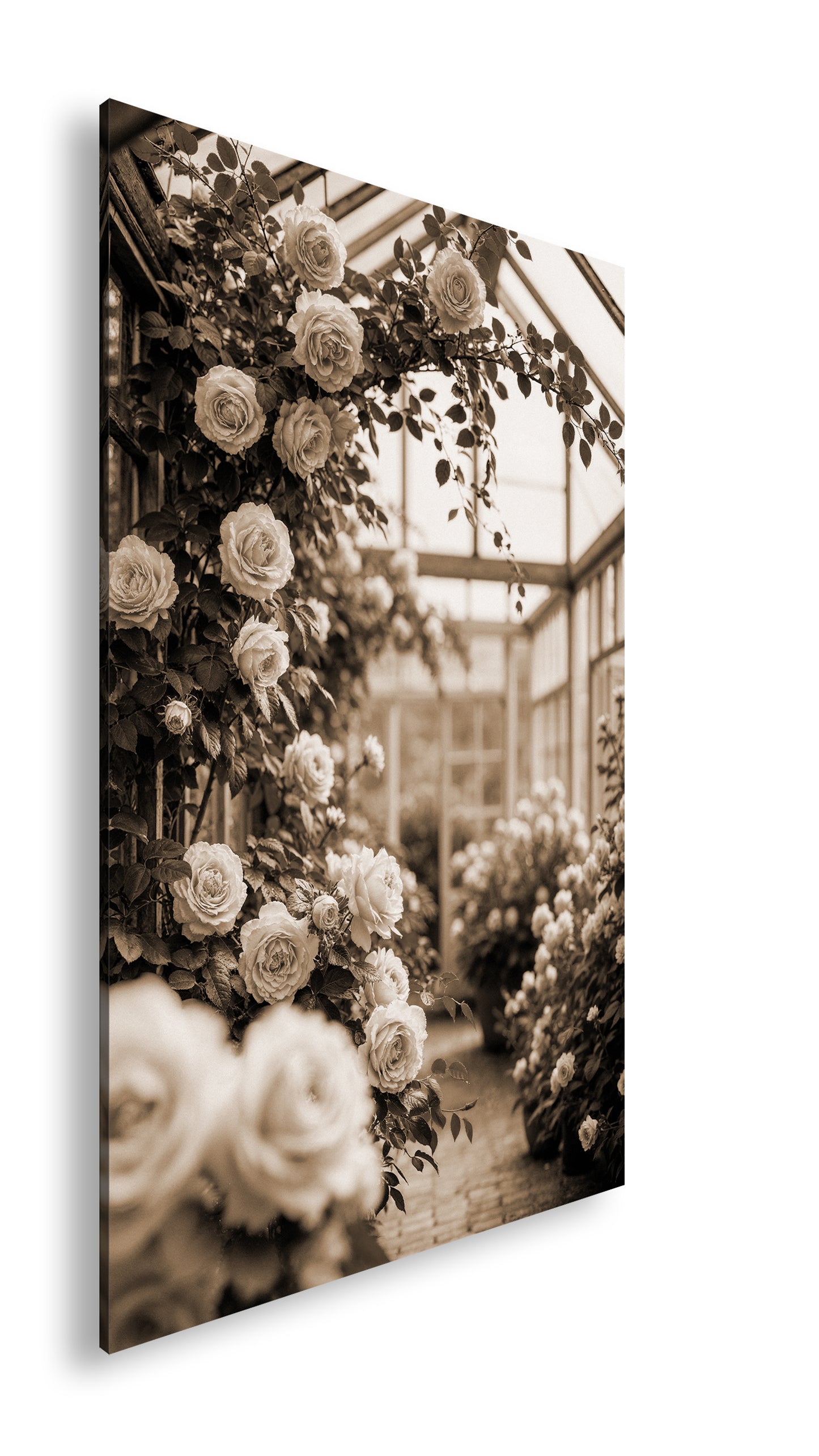 Hauptbild Sepia Standart