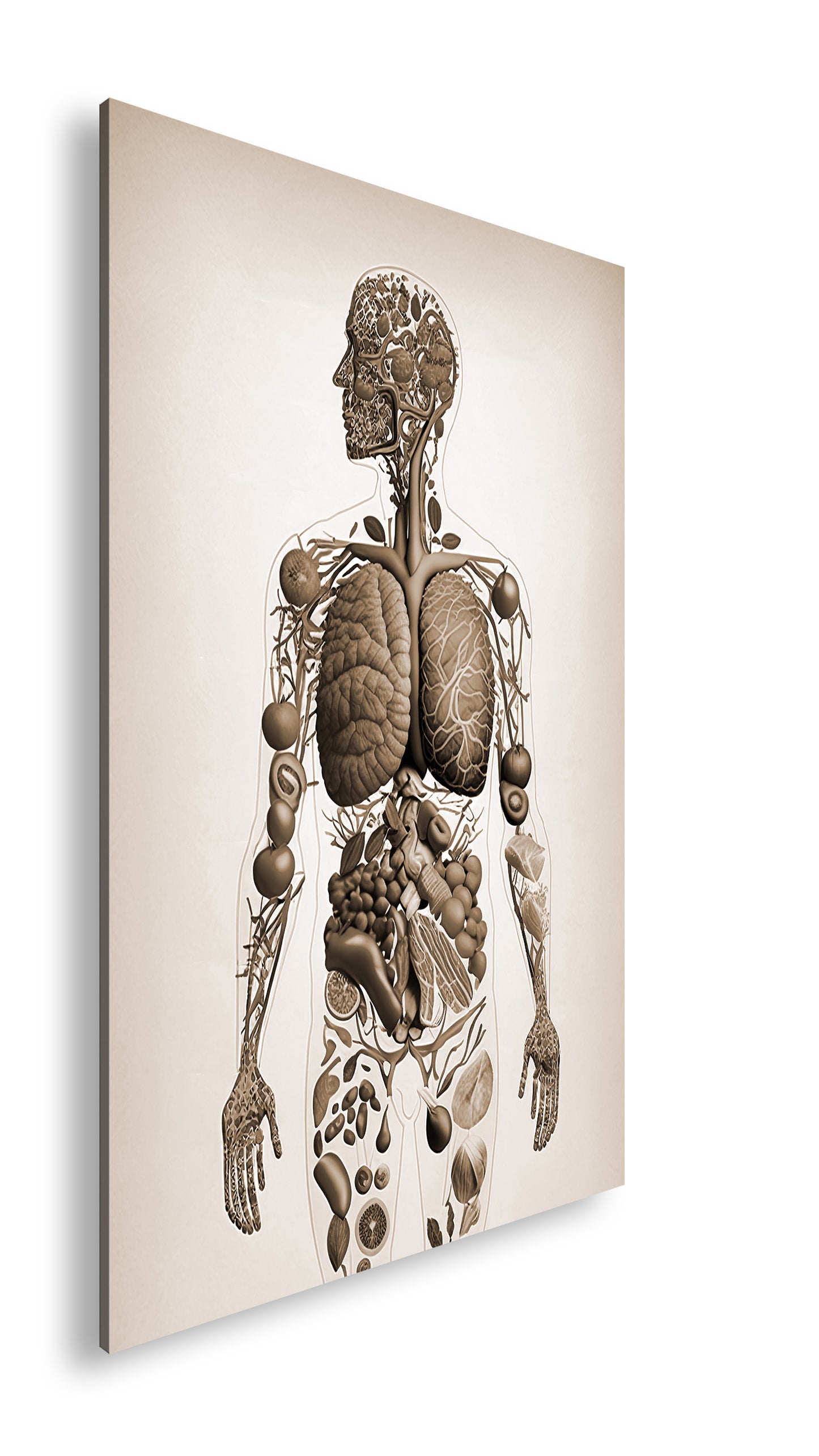 Hauptbild Sepia Standart