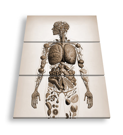 Hauptbild Sepia 3 Teilig