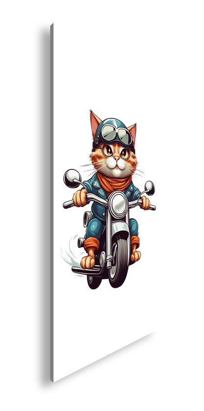 Hauptbild Farbig Panorama