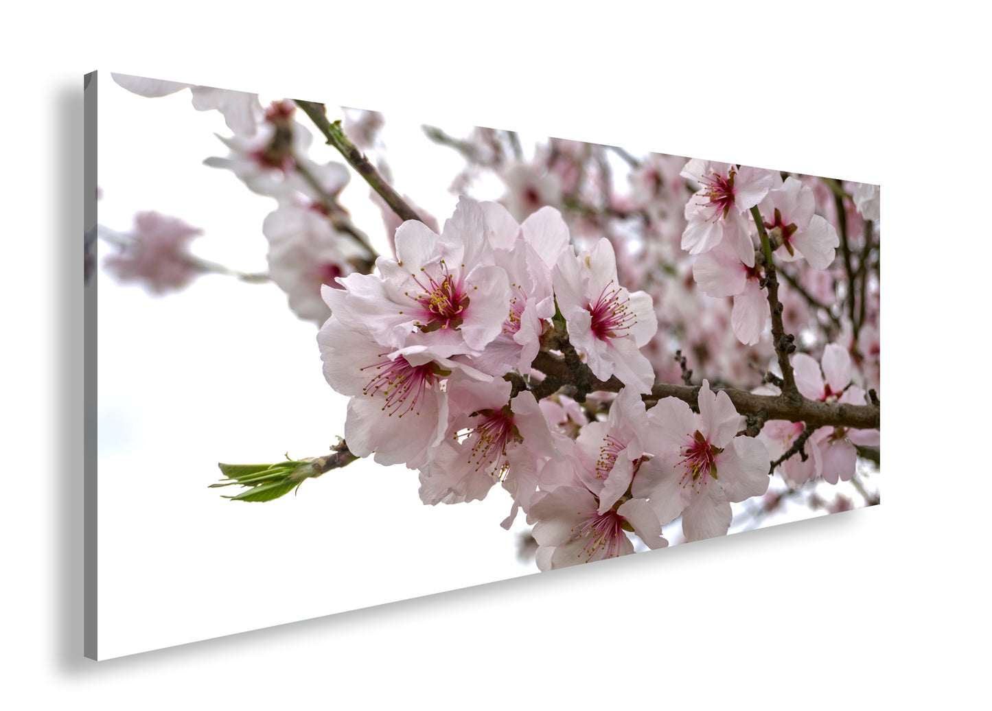 Hauptbild Farbig Panorama