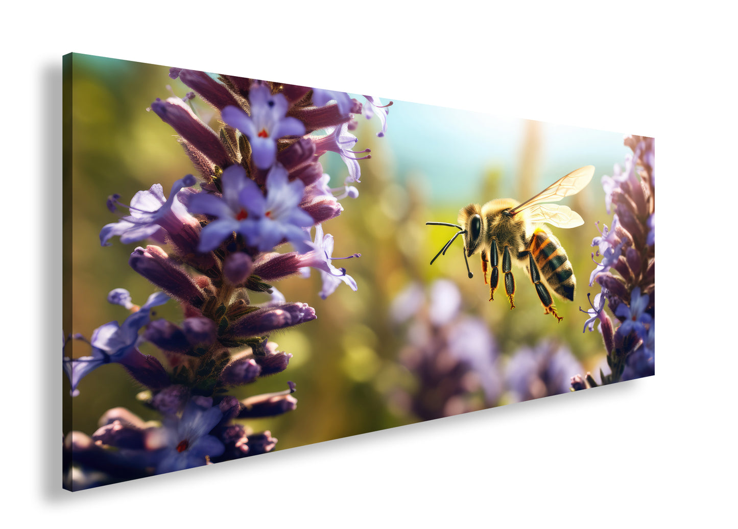 Hauptbild Farbig Panorama