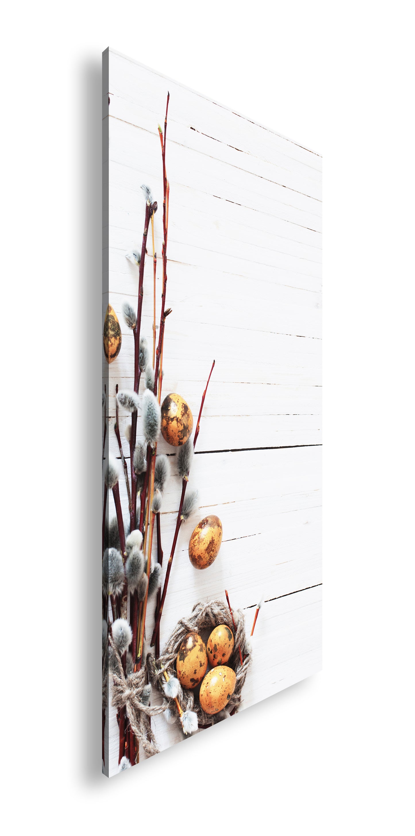 Hauptbild Farbig Panorama