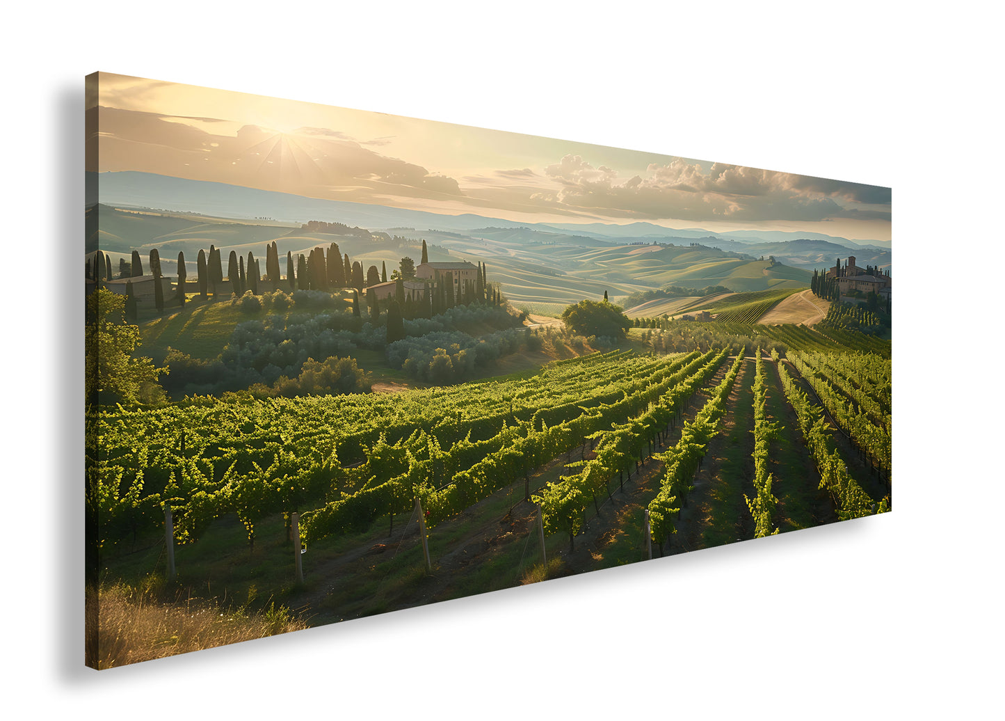 Hauptbild Farbig Panorama