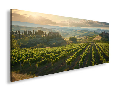 Hauptbild Farbig Panorama