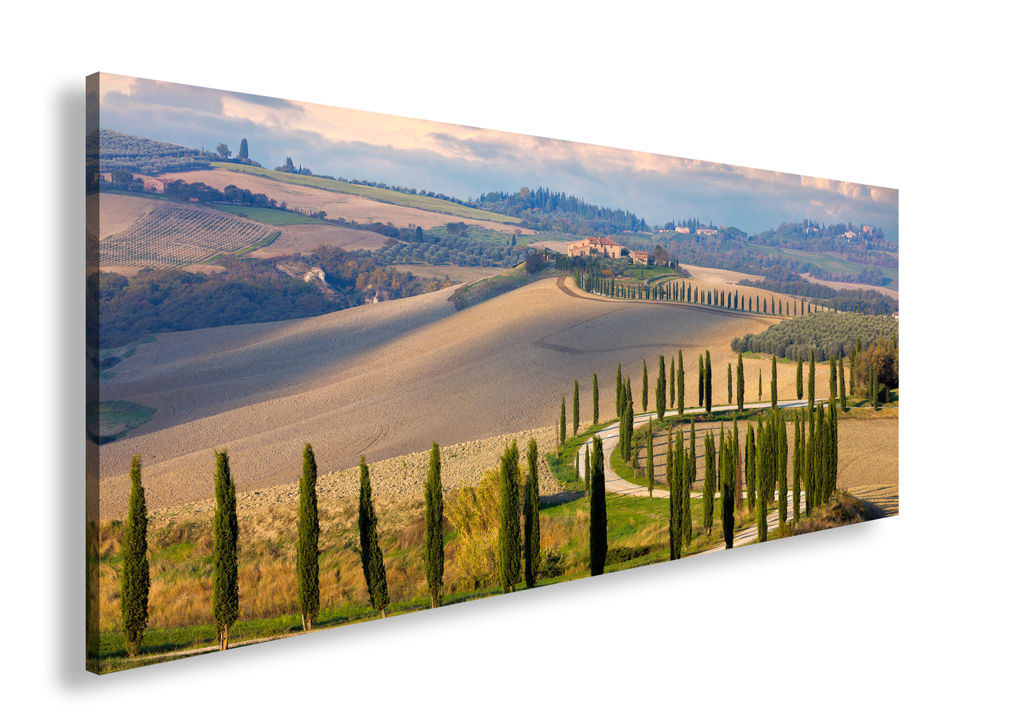 Hauptbild Farbig Panorama