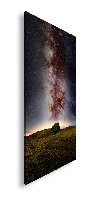 Hauptbild Farbig Panorama