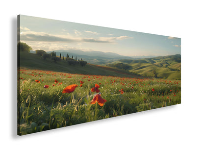 Hauptbild Farbig Panorama