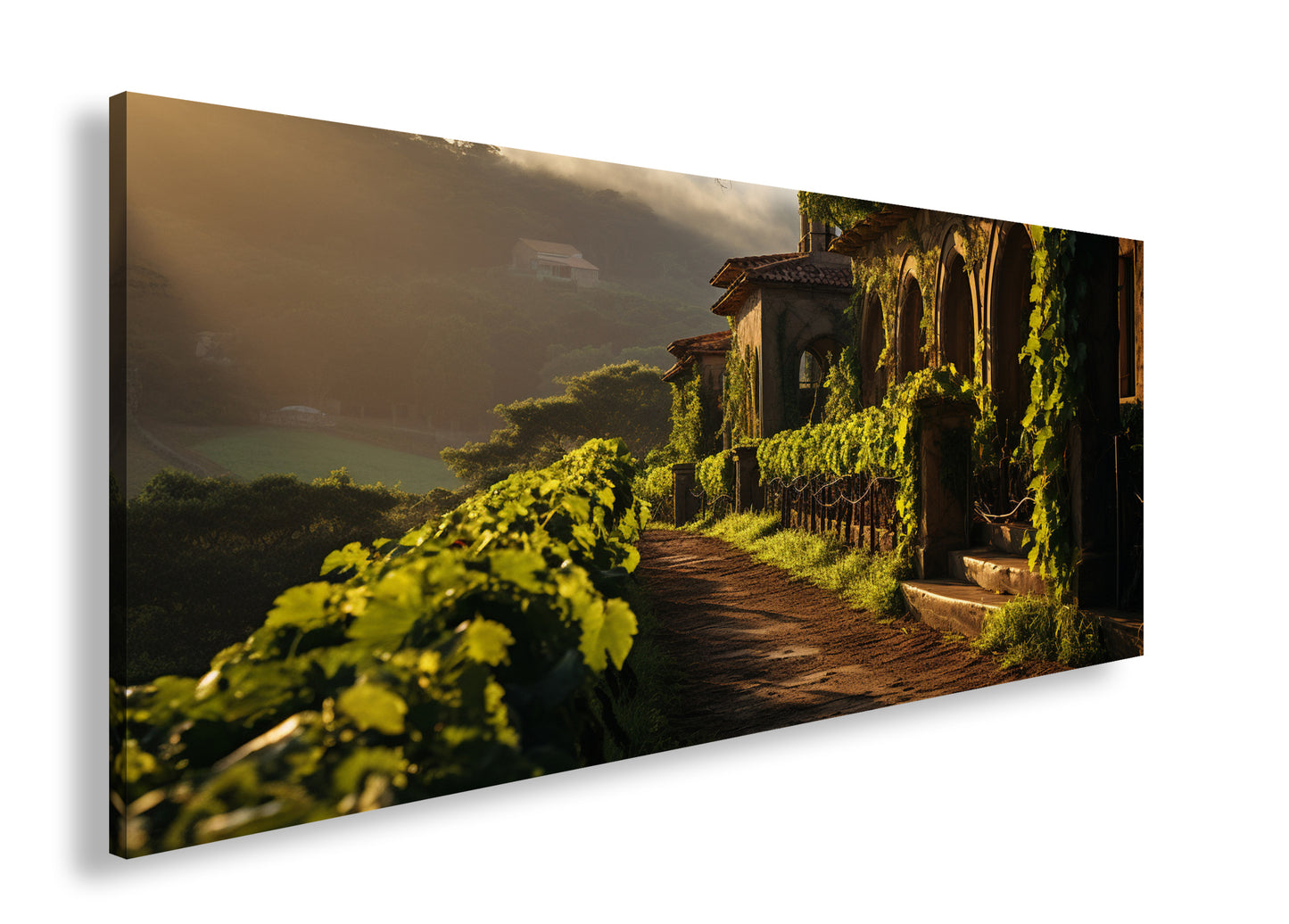 Hauptbild Farbig Panorama