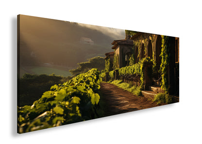 Hauptbild Farbig Panorama