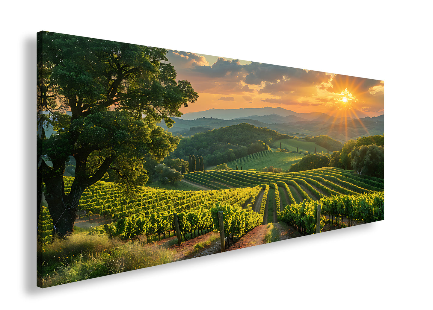 Hauptbild Farbig Panorama