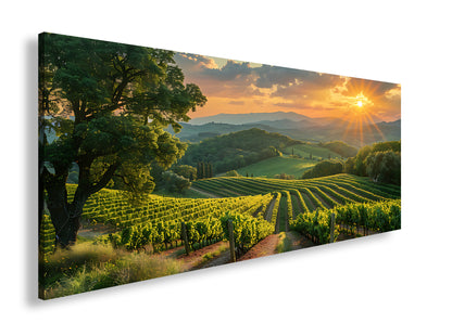 Hauptbild Farbig Panorama