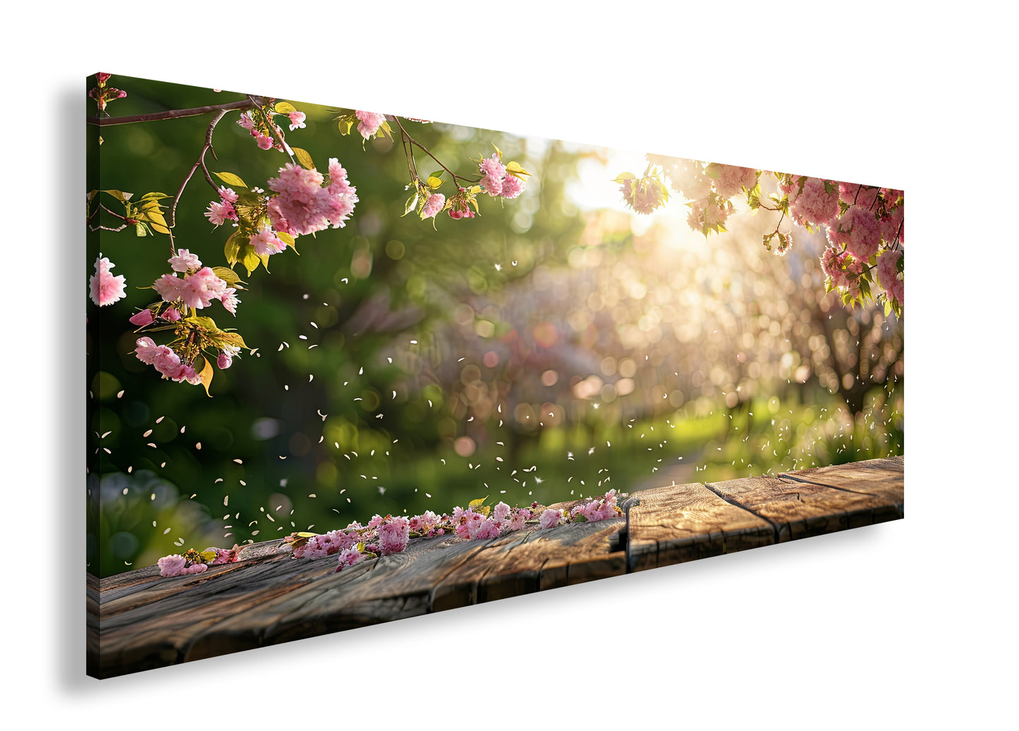 Hauptbild Farbig Panorama