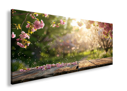 Hauptbild Farbig Panorama