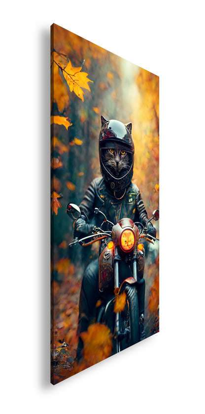 Hauptbild Farbig Panorama