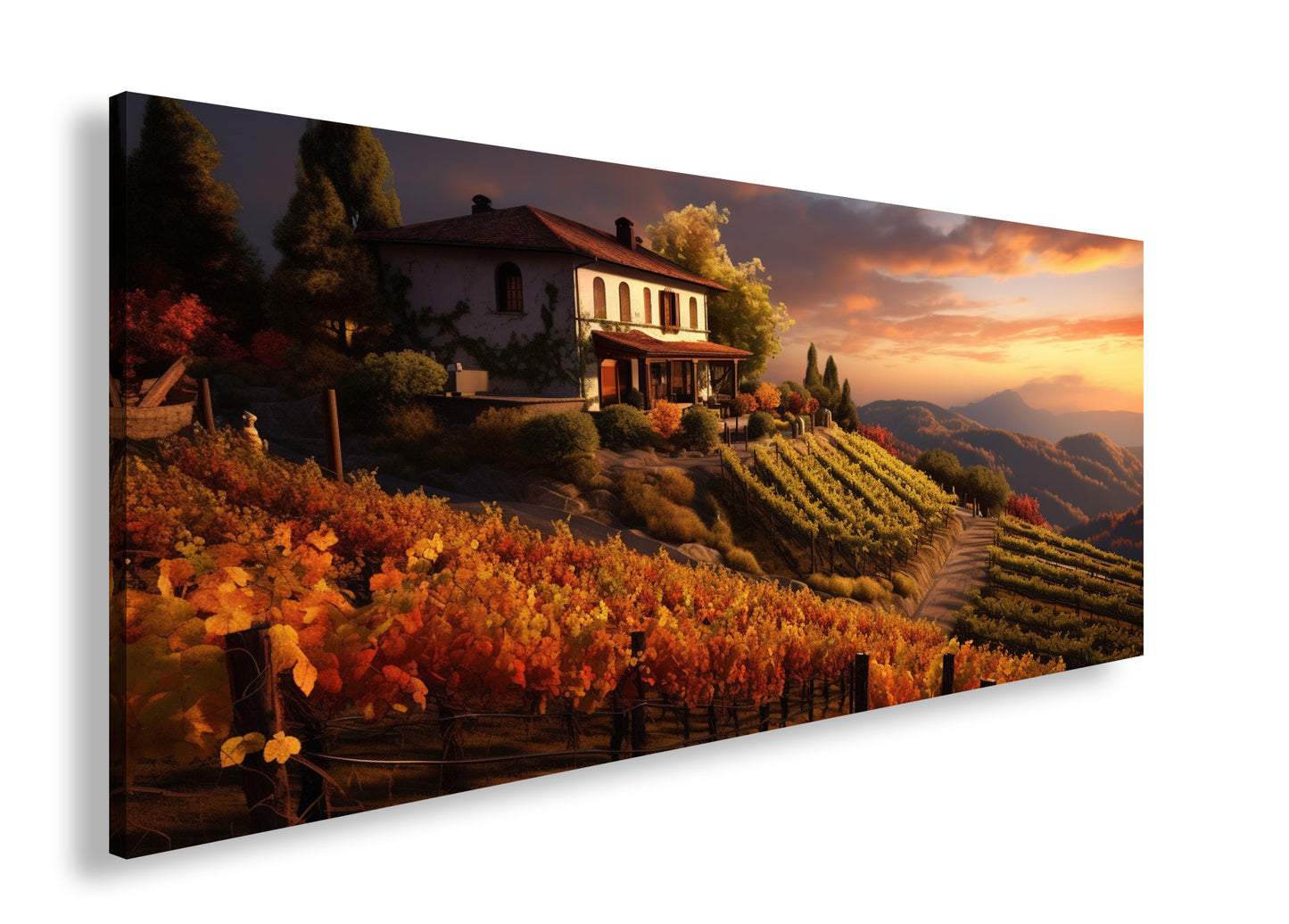 Hauptbild Farbig Panorama