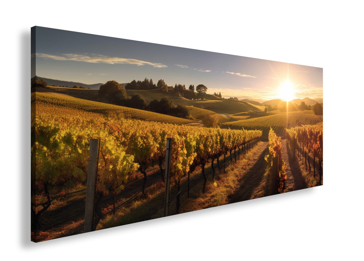 Hauptbild Farbig Panorama