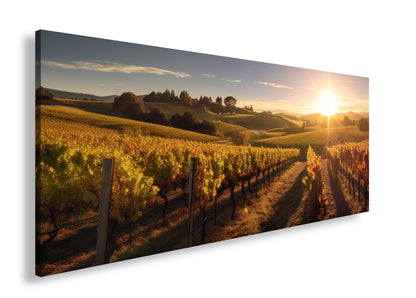 Hauptbild Farbig Panorama