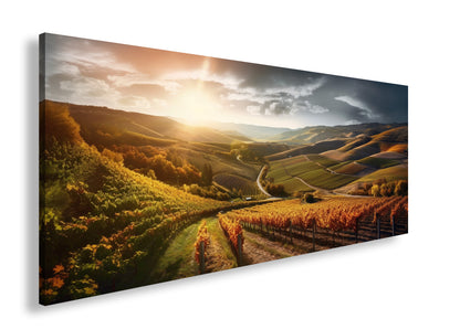 Hauptbild Farbig Panorama