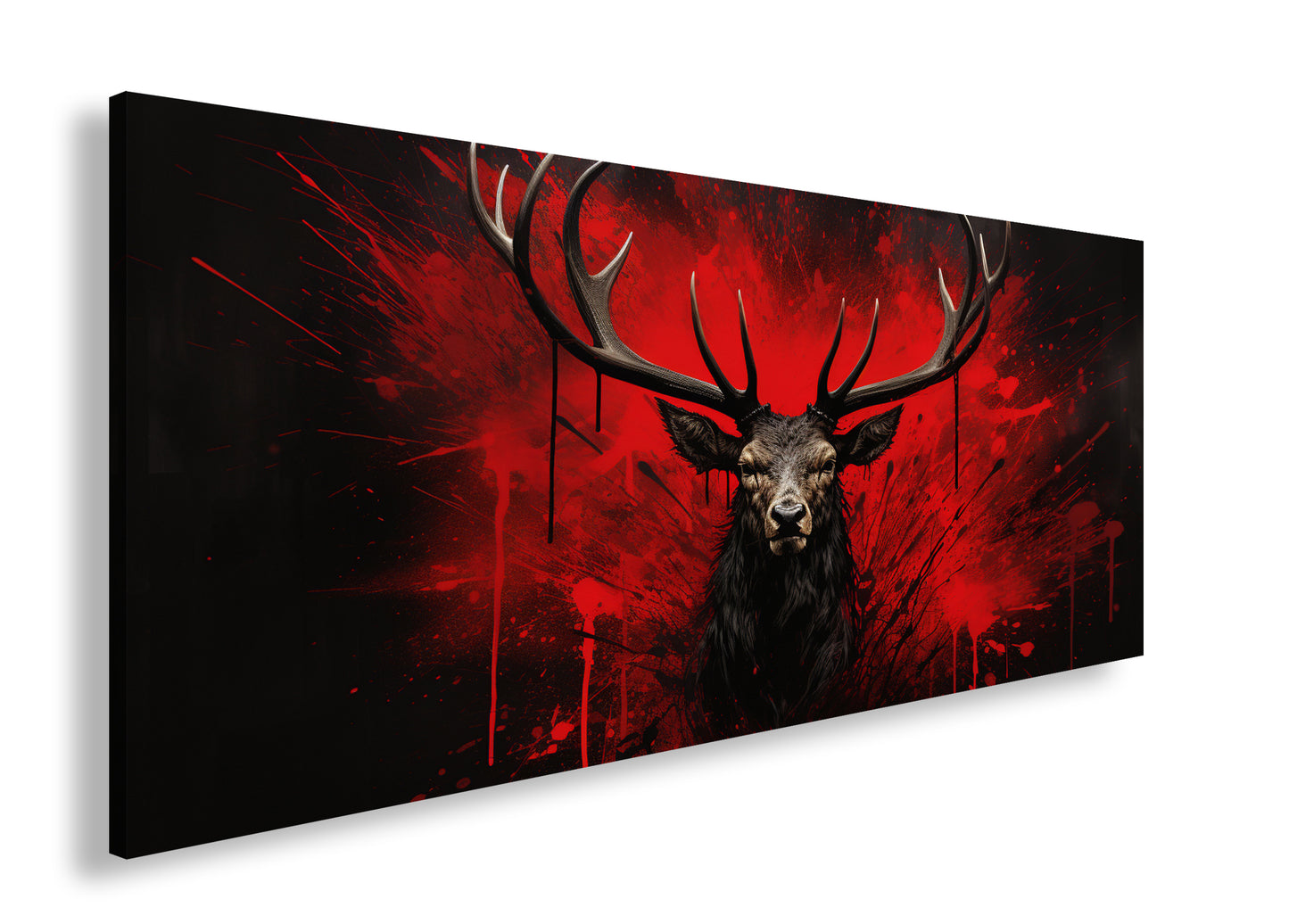 Hauptbild Farbig Panorama