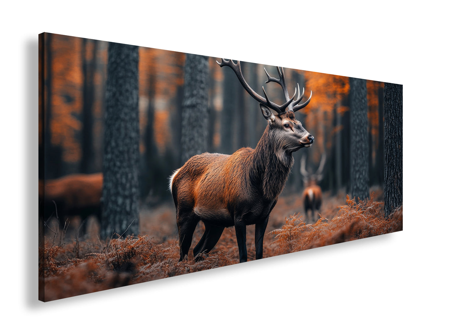 Hauptbild Farbig Panorama