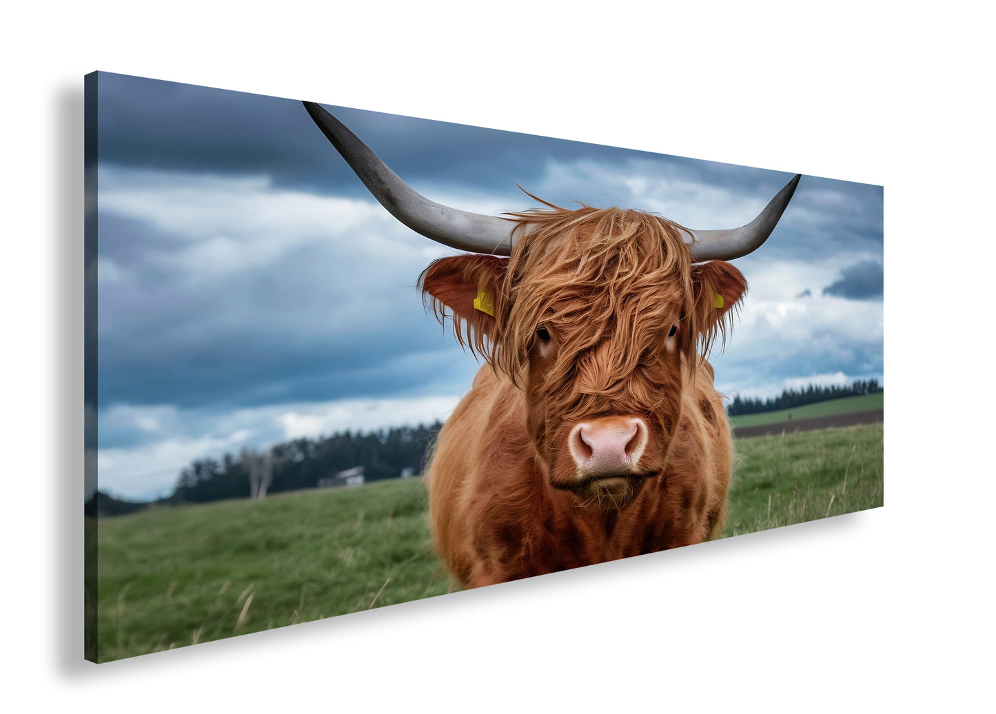 Hauptbild Farbig Panorama