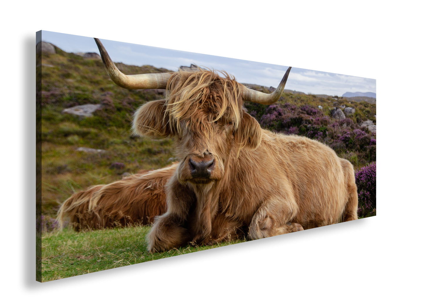 Hauptbild Farbig Panorama