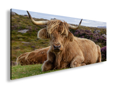 Hauptbild Farbig Panorama