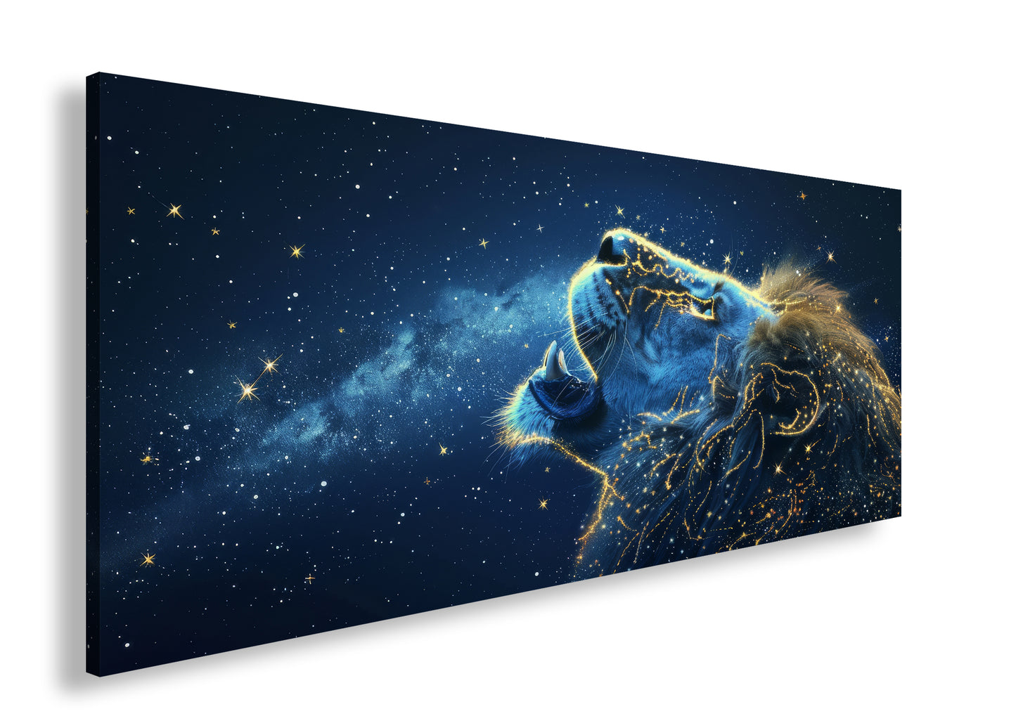 Hauptbild Farbig Panorama