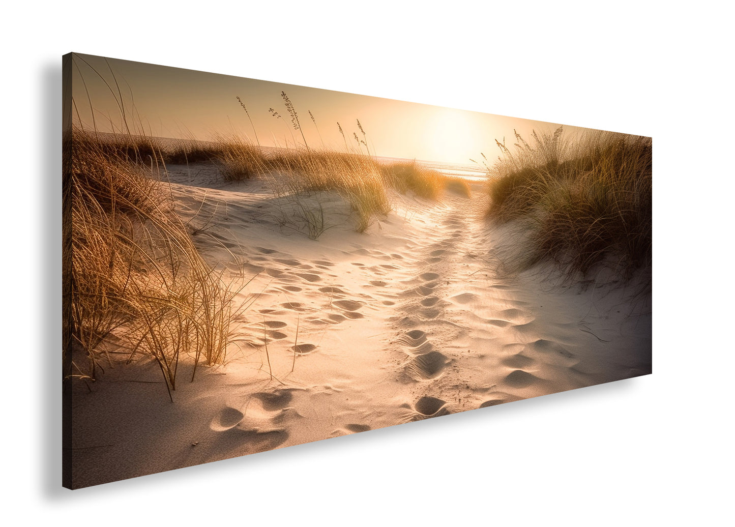 Hauptbild Farbig Panorama