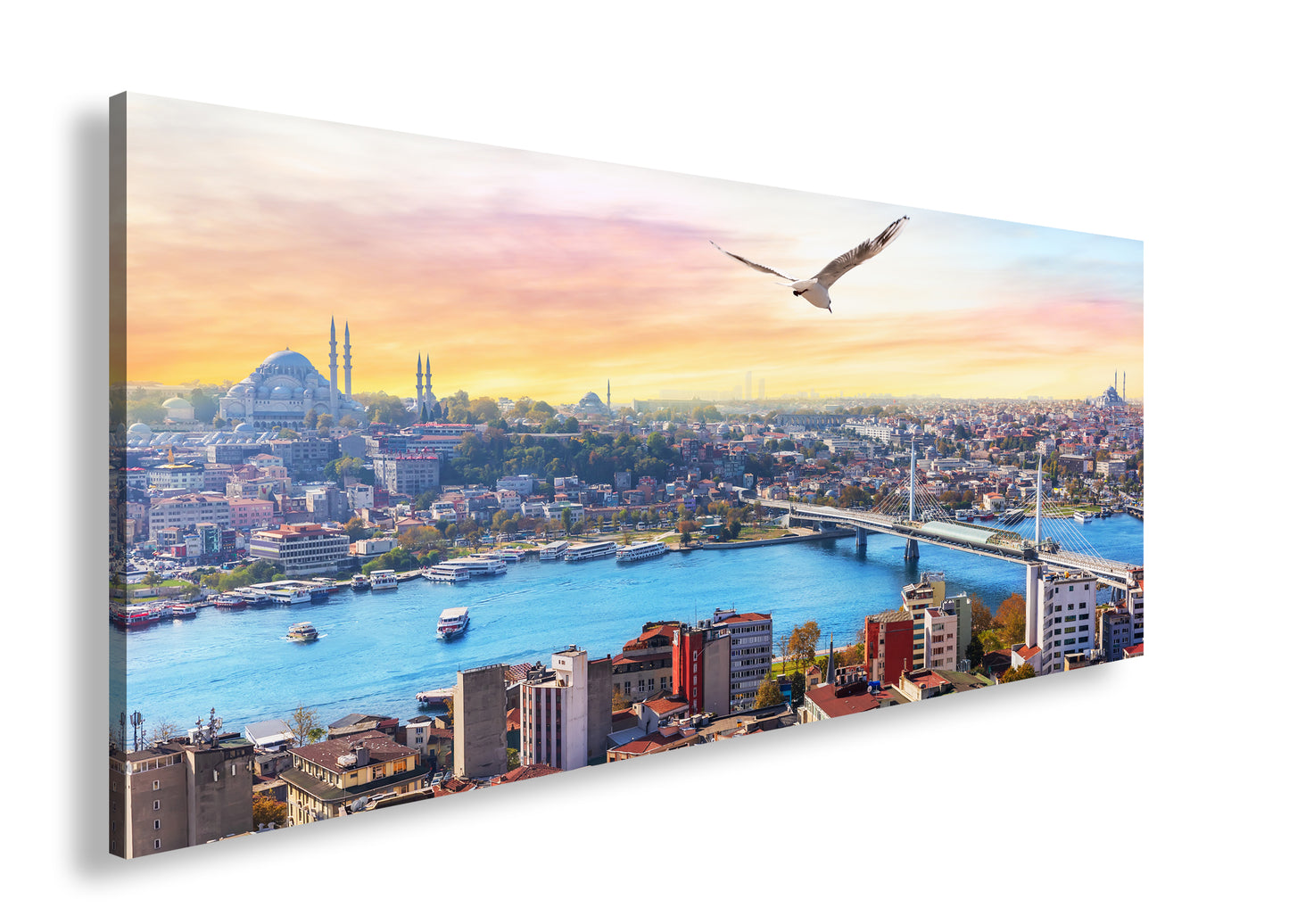 Hauptbild Farbig Panorama