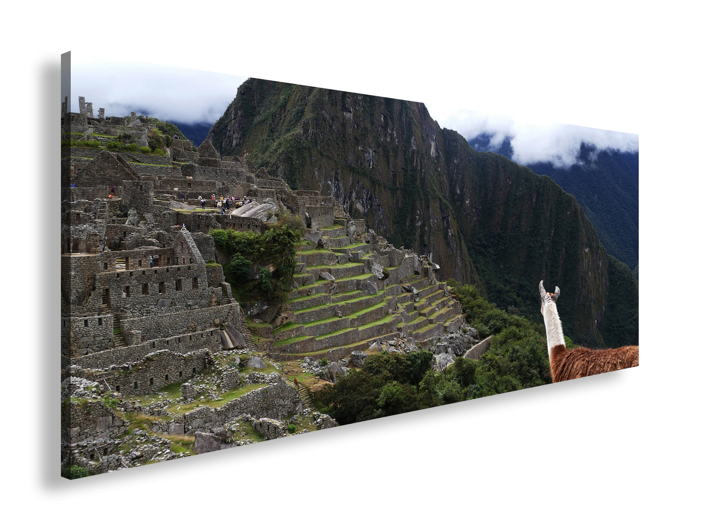 Hauptbild Farbig Panorama