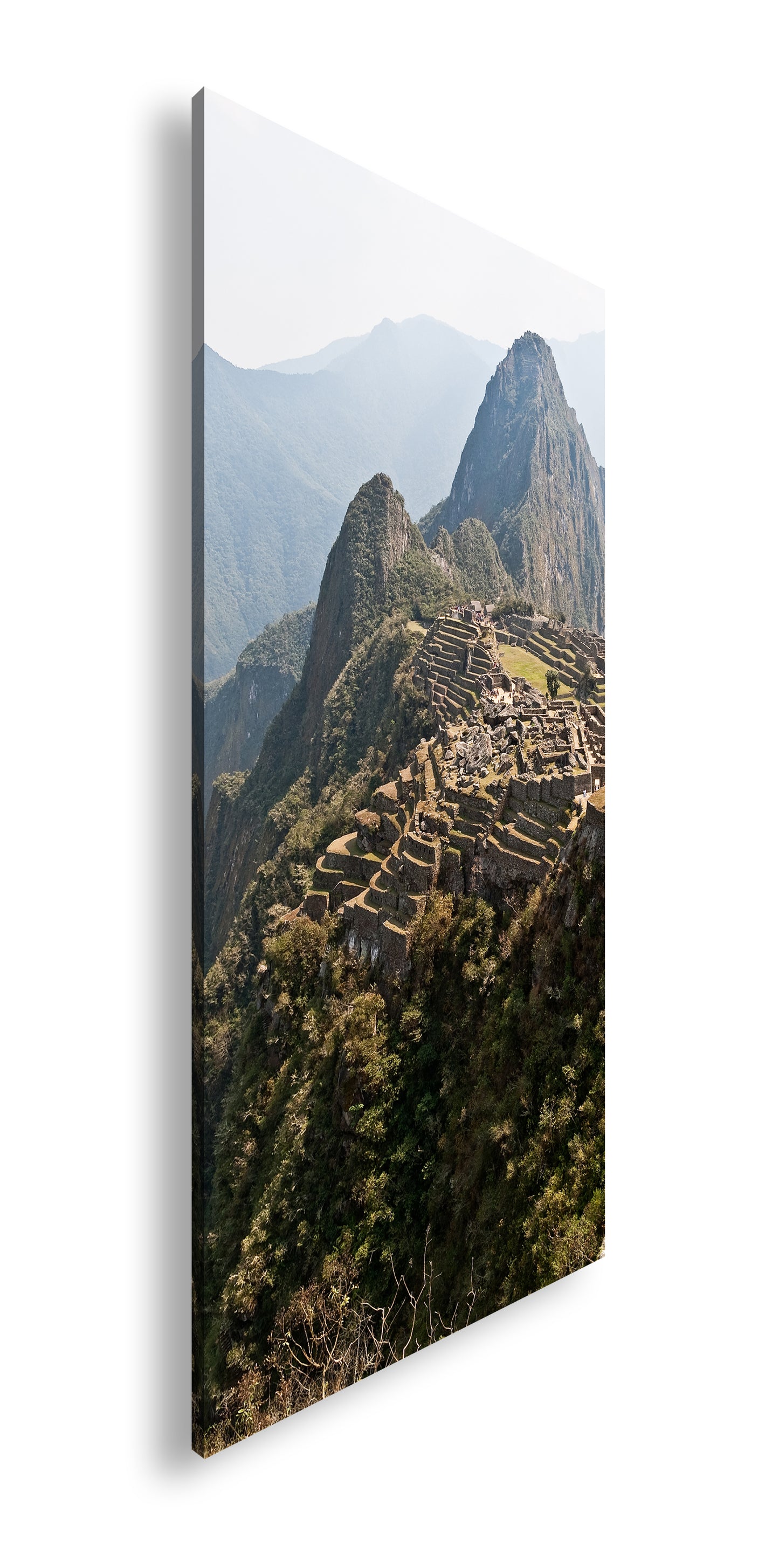 Hauptbild Farbig Panorama