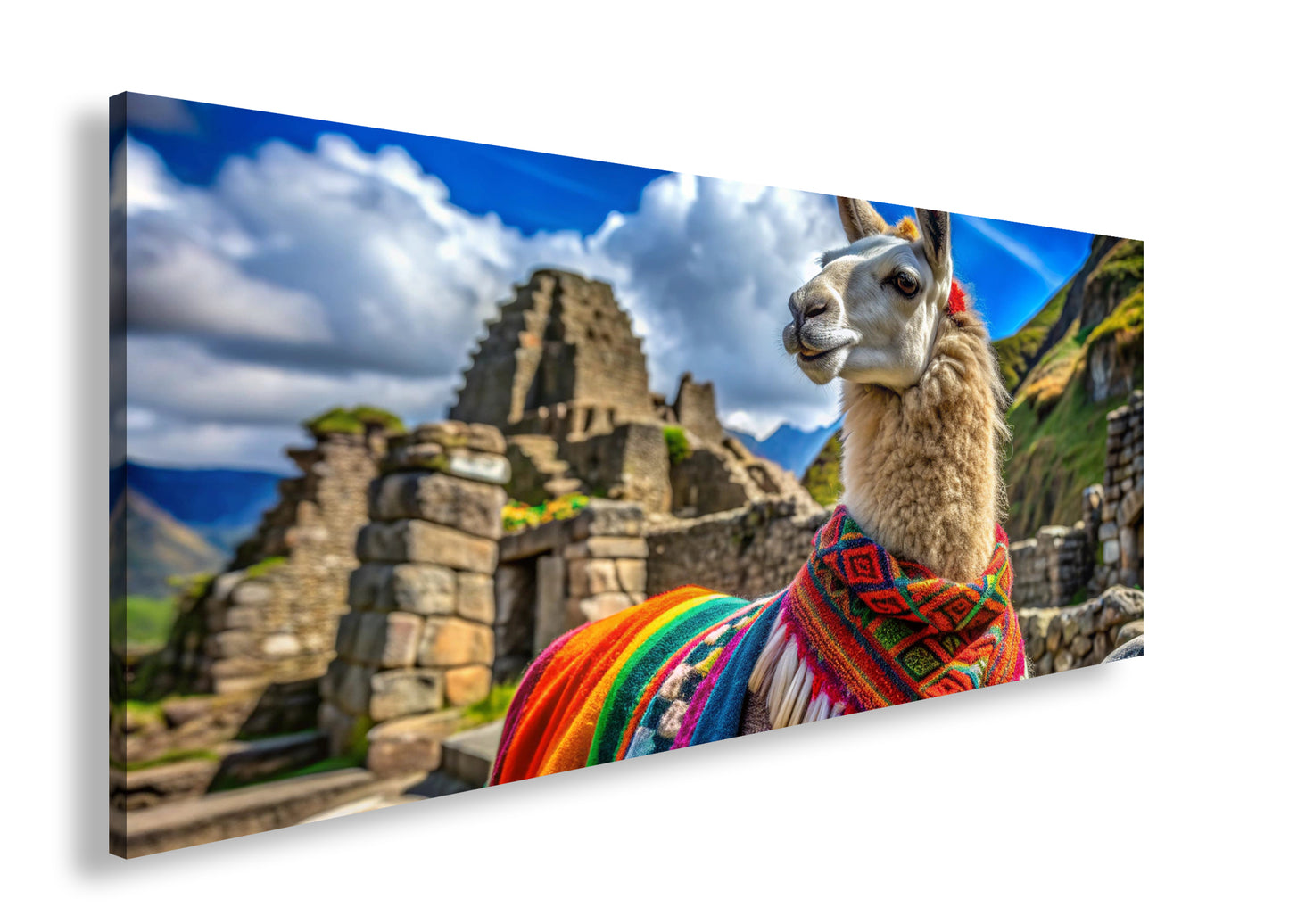 Hauptbild Farbig Panorama