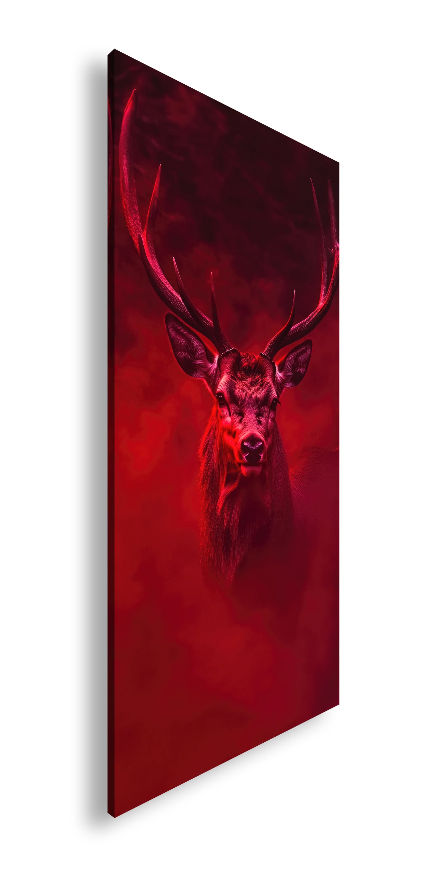 Hauptbild Farbig Panorama