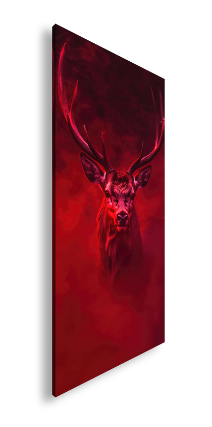 Hauptbild Farbig Panorama