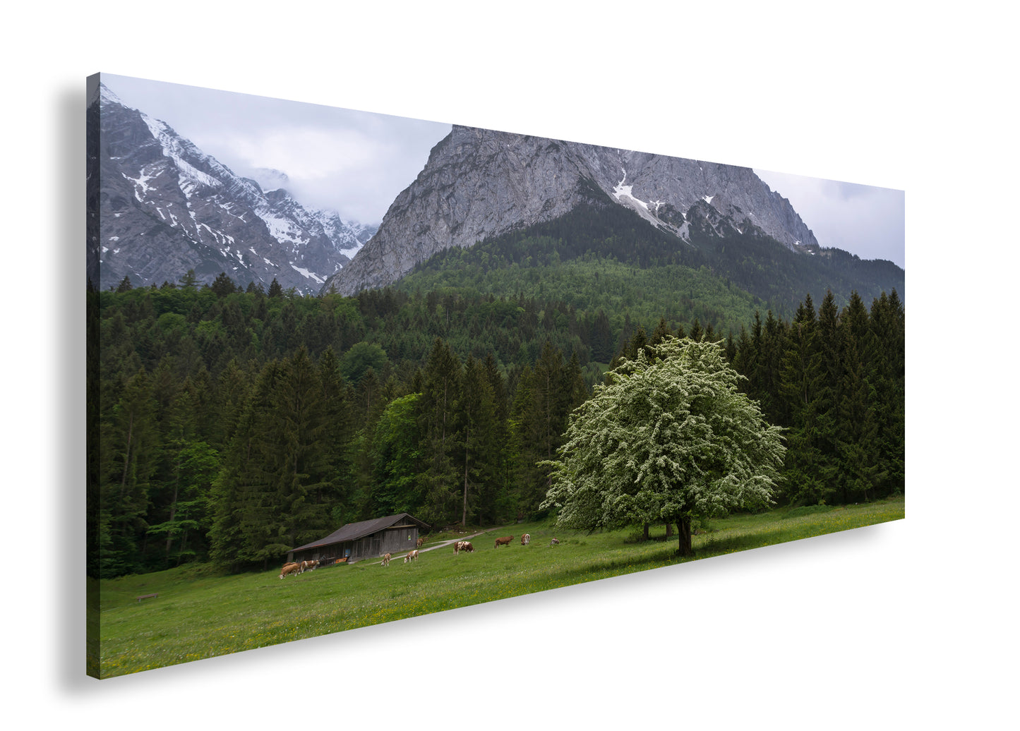 Hauptbild Farbig Panorama