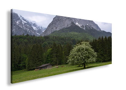 Hauptbild Farbig Panorama