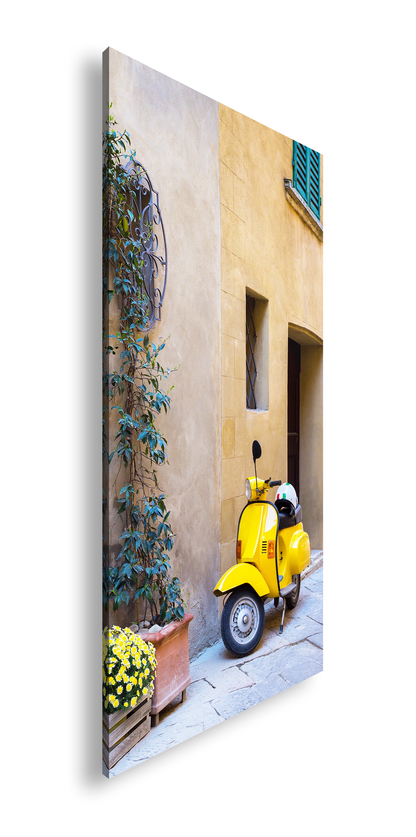 Hauptbild Farbig Panorama