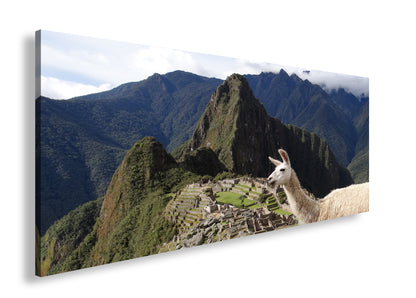 Hauptbild Farbig Panorama