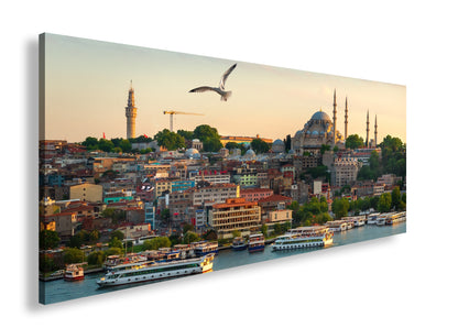 Hauptbild Farbig Panorama