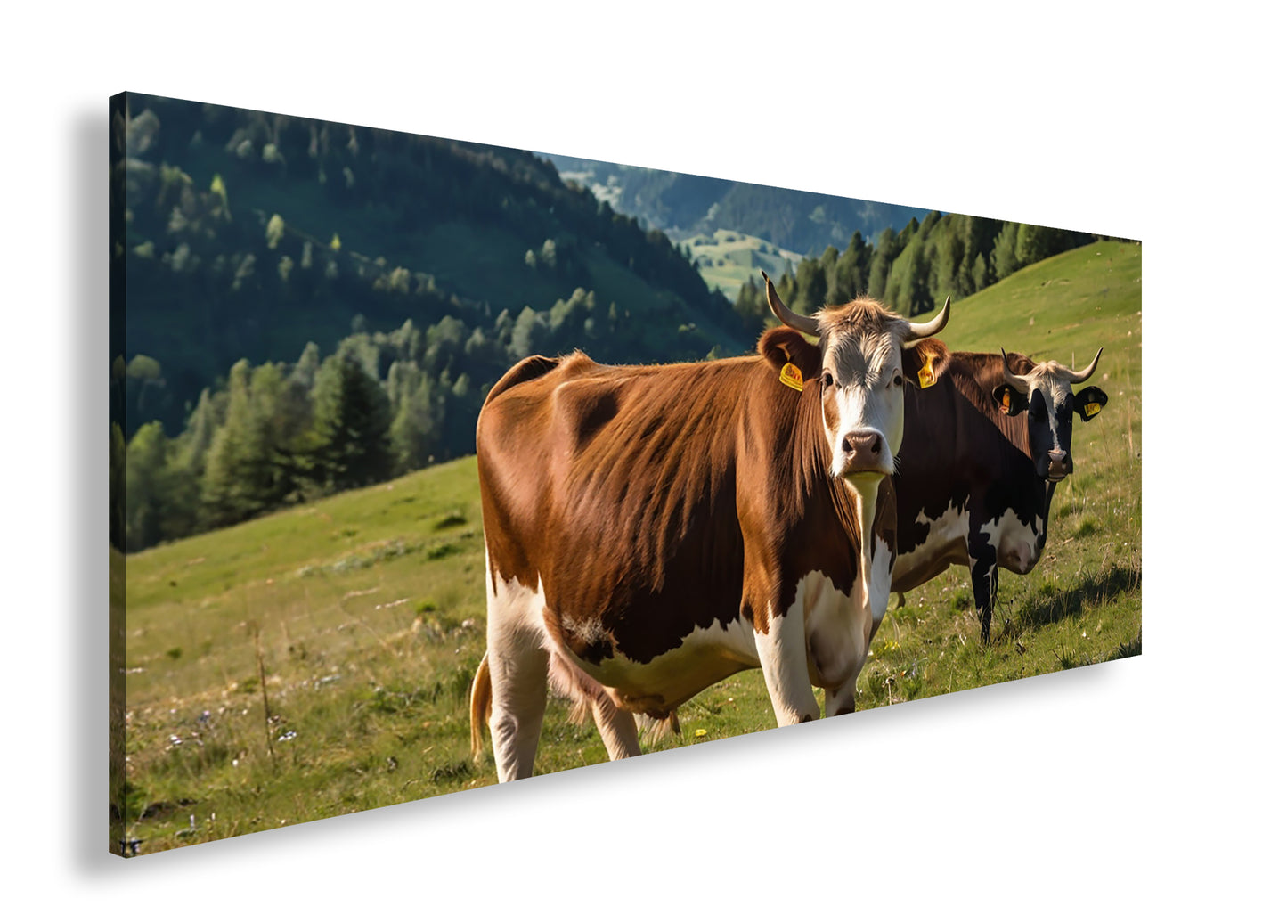 Hauptbild Farbig Panorama