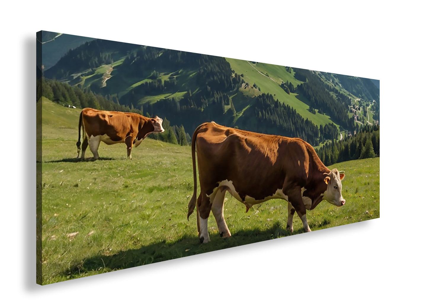 Hauptbild Farbig Panorama