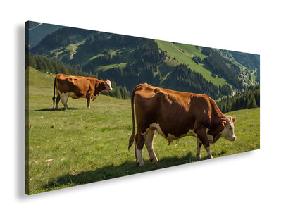 Hauptbild Farbig Panorama