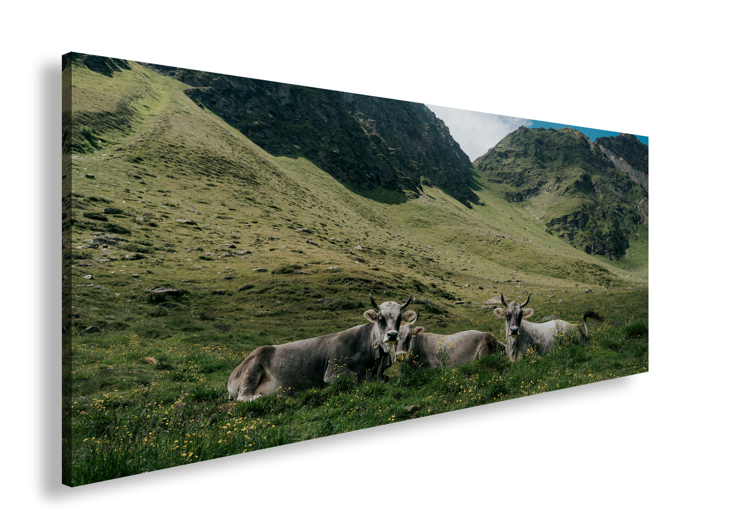 Hauptbild Farbig Panorama