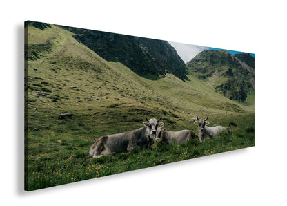 Hauptbild Farbig Panorama